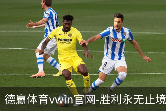 德赢体育vwin官网-胜利永无止境公司简介